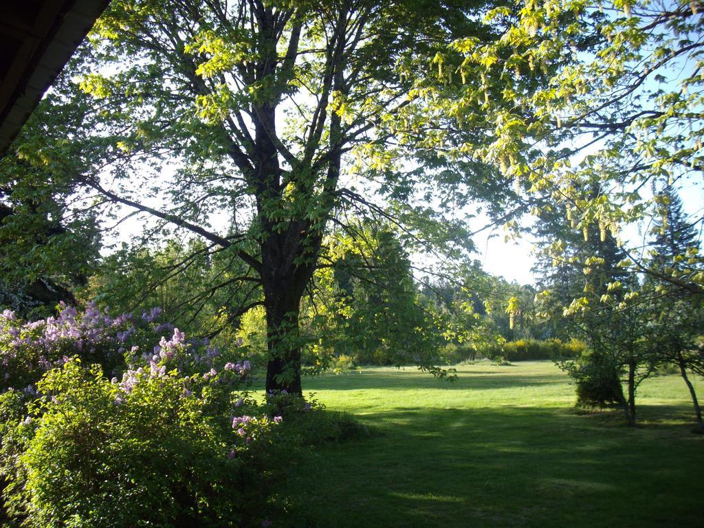 Lake Trail Guesthouse Cumberland Eksteriør bilde