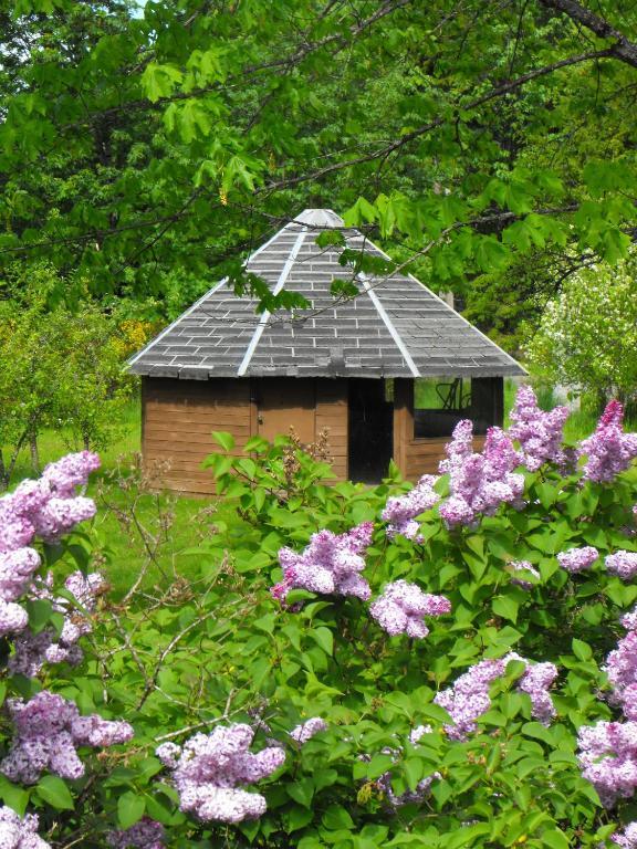 Lake Trail Guesthouse Cumberland Eksteriør bilde